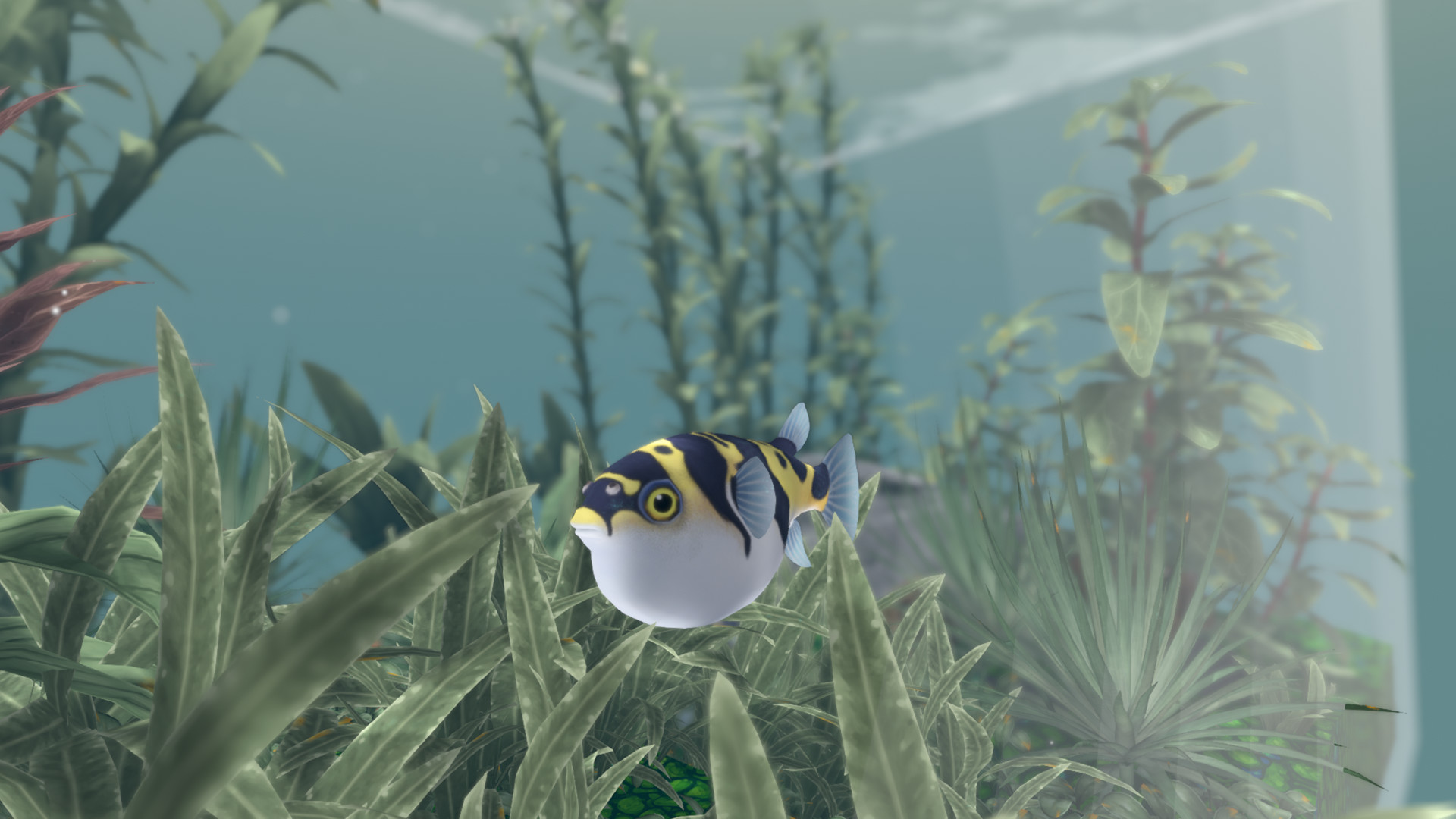 FISHERY Screenshot 12