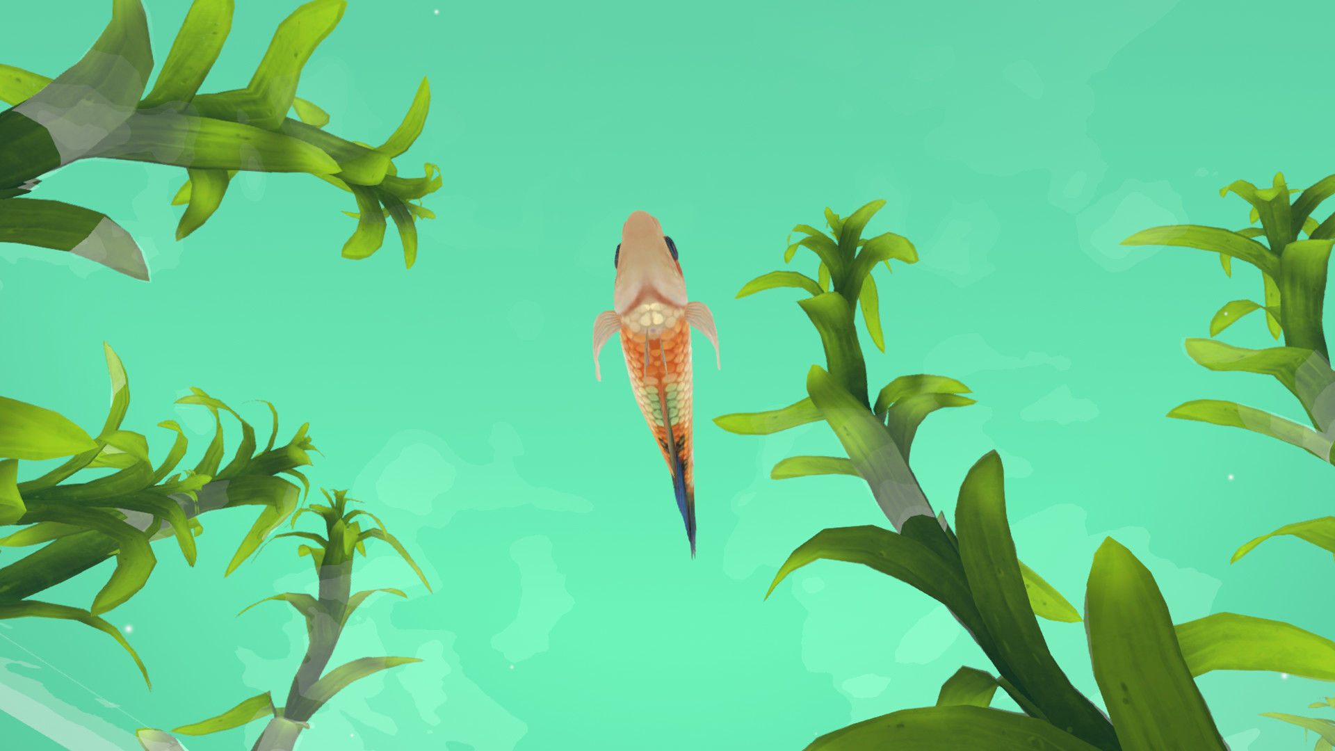 FISHERY Screenshot 5