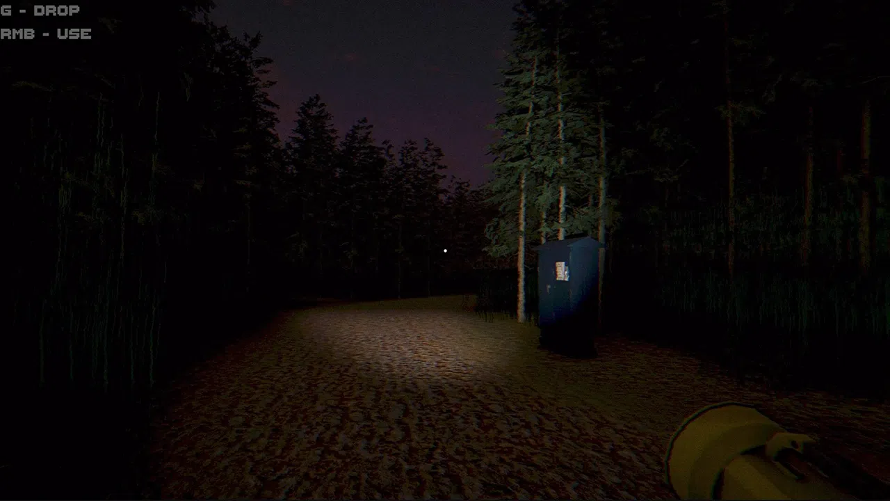 Night at the lake: Silent Watcher Screenshot 3