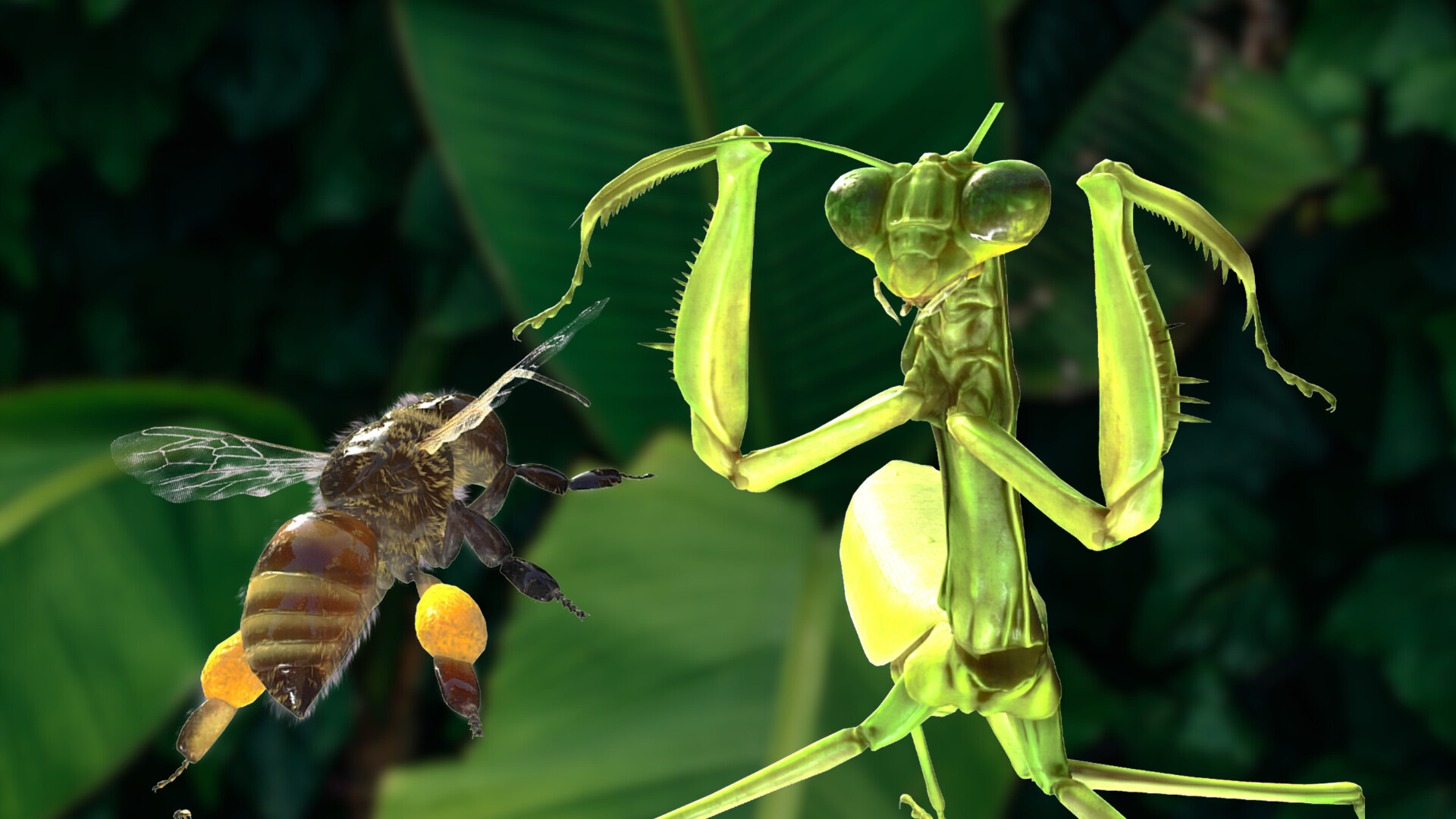 For The Hive Screenshot 12