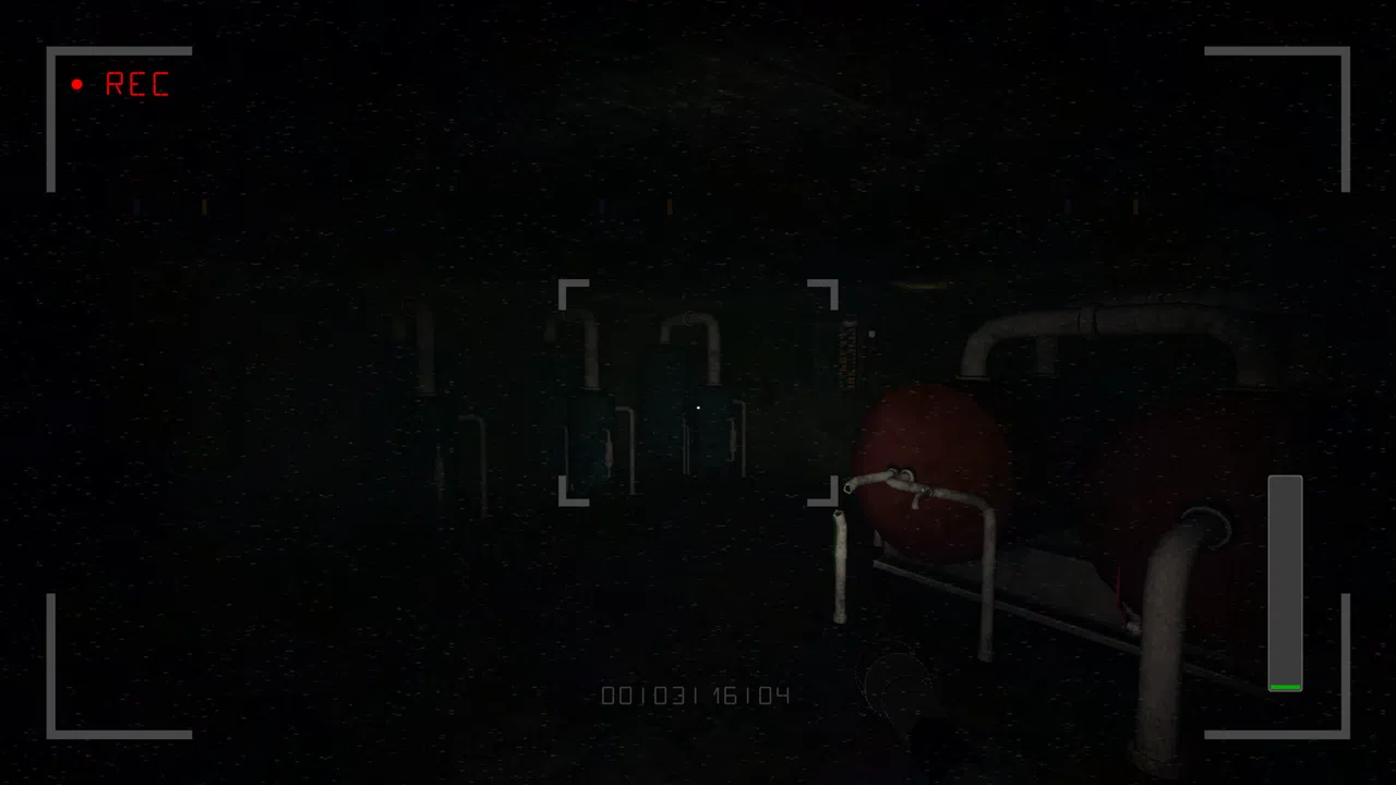 VHS \\ Bleach and Bones: Ritual Screenshot 5