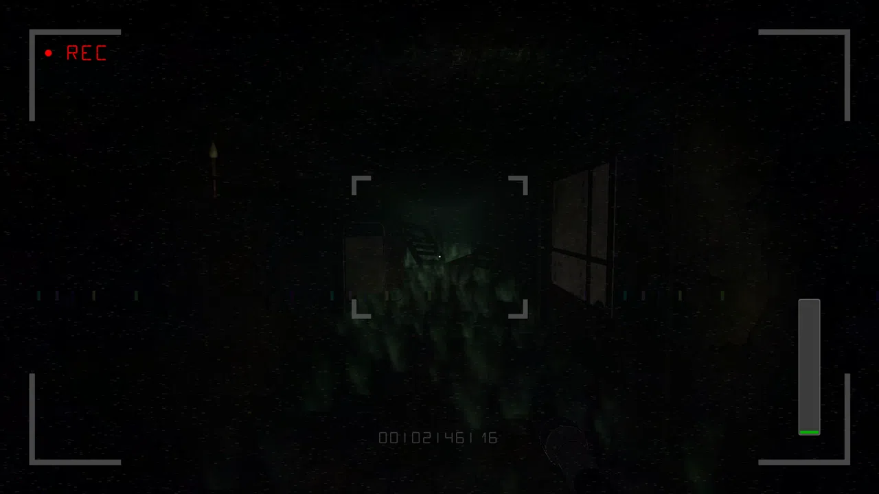 VHS \\ Bleach and Bones: Ritual Screenshot 4