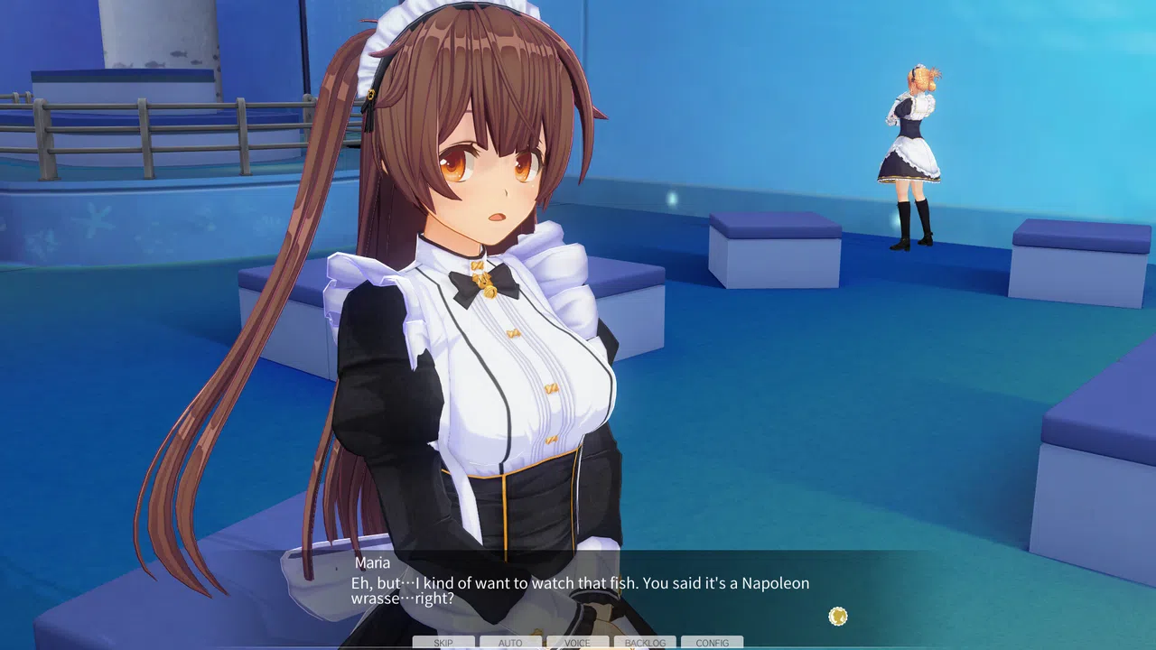 CUSTOM ORDER MAID 3D2 It's a Night Magic The Maids of August ALL in ONE Pack Screenshot 6