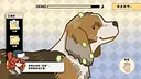Bubble dog Screenshot 1