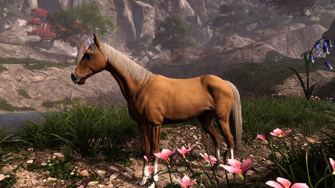 Equitania Screenshot 9
