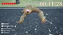 Go! Sloth Screenshot 1