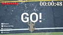 Go! Sloth Screenshot 0