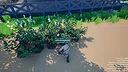Woolberry Ranch Screenshot 4