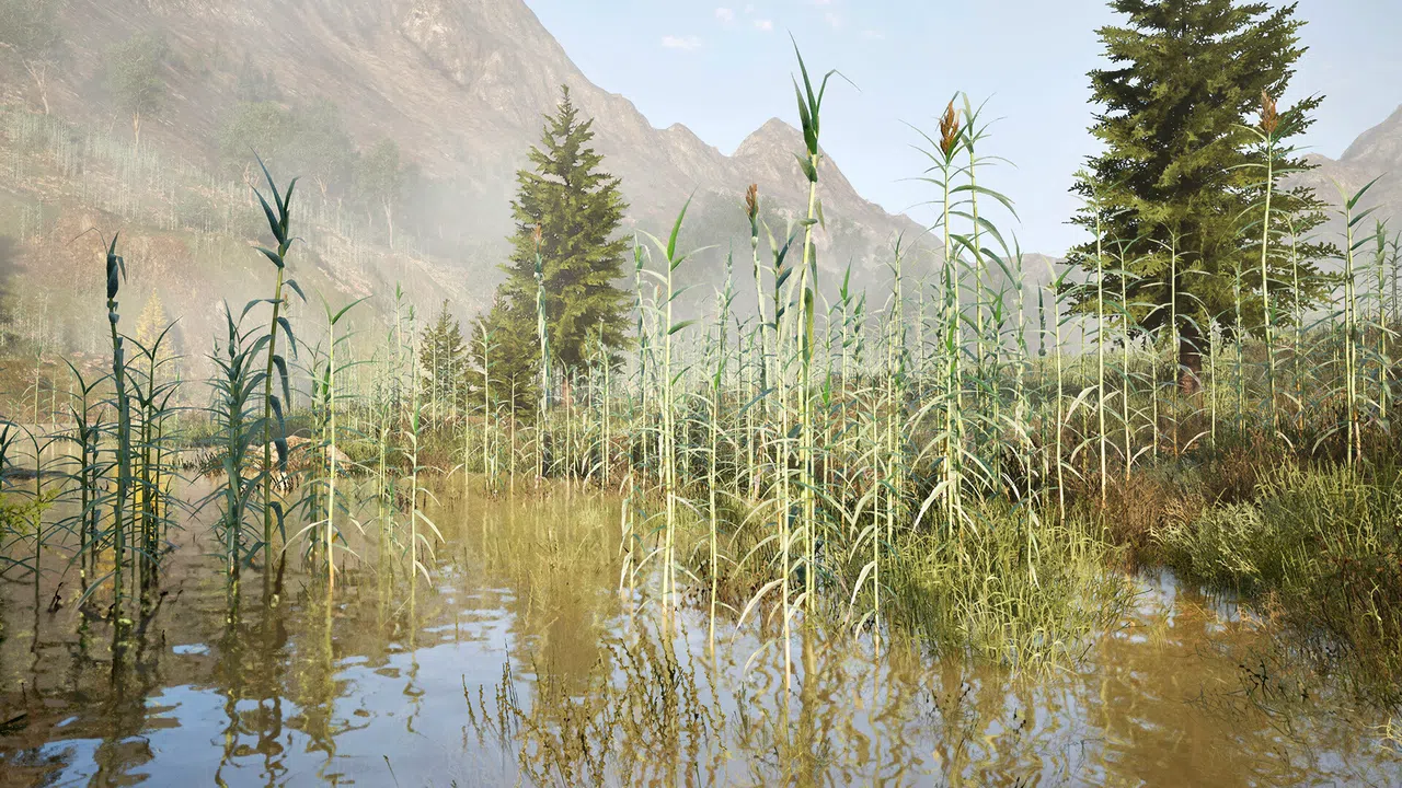 The Valley Beyond Screenshot 12