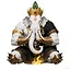 India icon