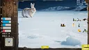 Survive coldy north Screenshot 2