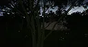 Dick Shortson. The Detective. Screenshot 2