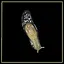 Arboreal Slug expert icon
