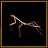 Stick Insect expert