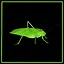 Leaf Katydid expert icon