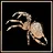 Garden Orb-Weaver Spider expert