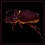 Rhinoceros Beetle expert icon
