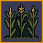 Field Trip icon