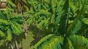 Luthenia Screenshot 3