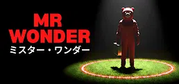 Mr Wonder