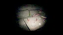 They Hear Footsteps Screenshot 4