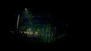 They Hear Footsteps Screenshot 5