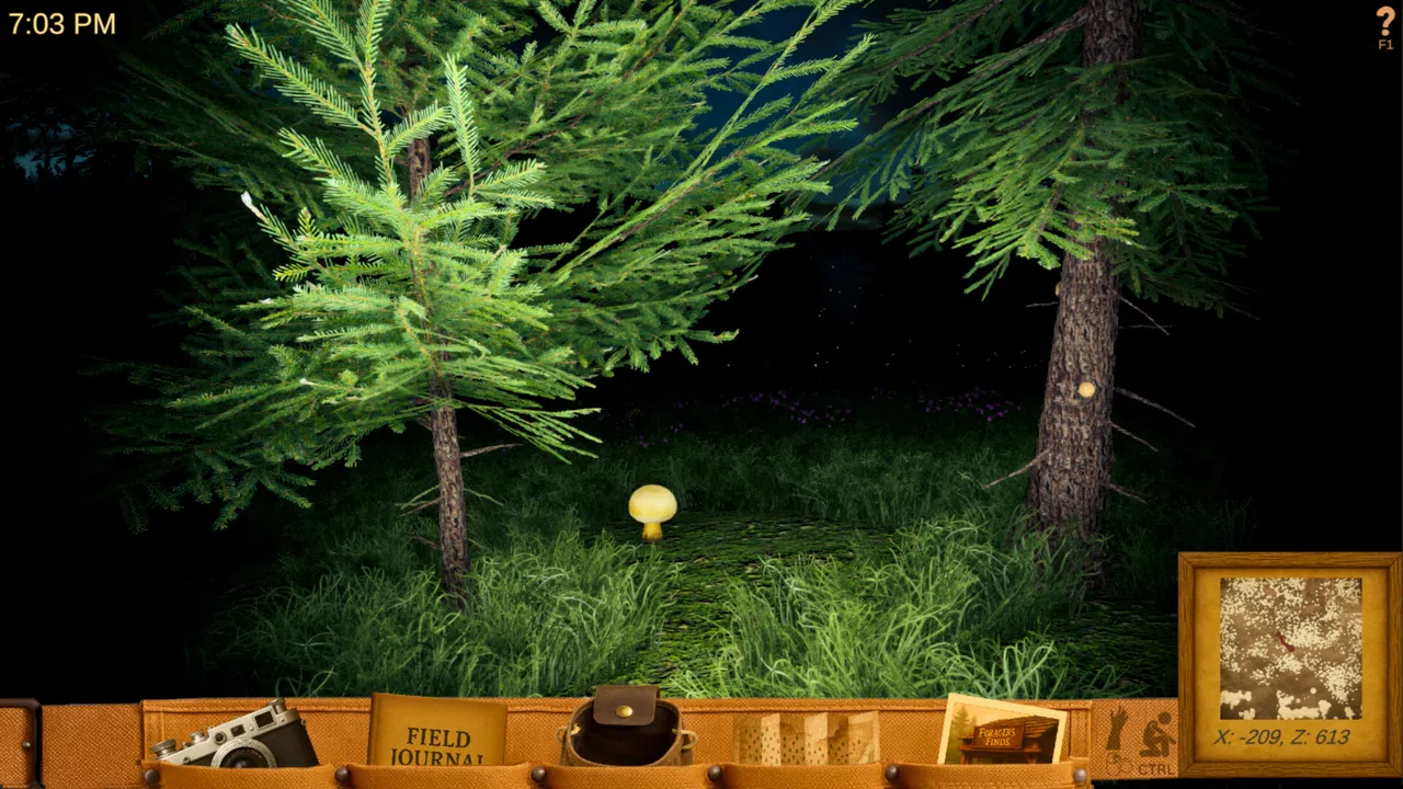 Forager's Finds Demo Screenshot 1