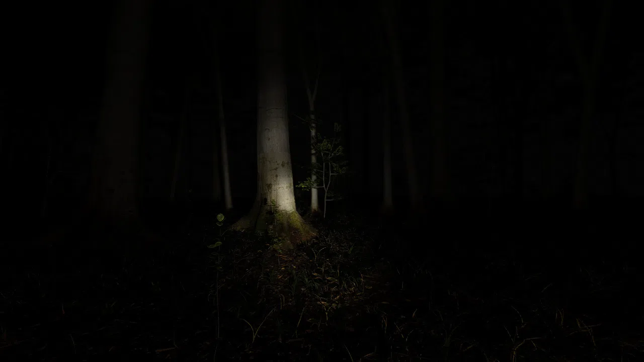 Waldzweisamkeit Screenshot 0
