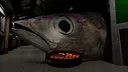SUSHI DELIVERY Screenshot 3