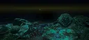 RebreatheR Demo Screenshot 3