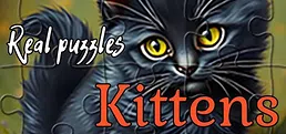 Real Puzzles - Kittens