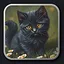 Kitten 5 icon