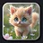 Kitten 17