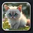 Kitten 10