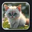 Kitten 10 icon