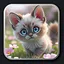 Kitten 9 icon