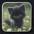 Kitten 8