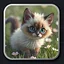 Kitten 13 icon