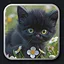 Kitten 18 icon