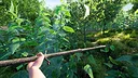 Childhood Simulator: Nettle Slasher Screenshot 3