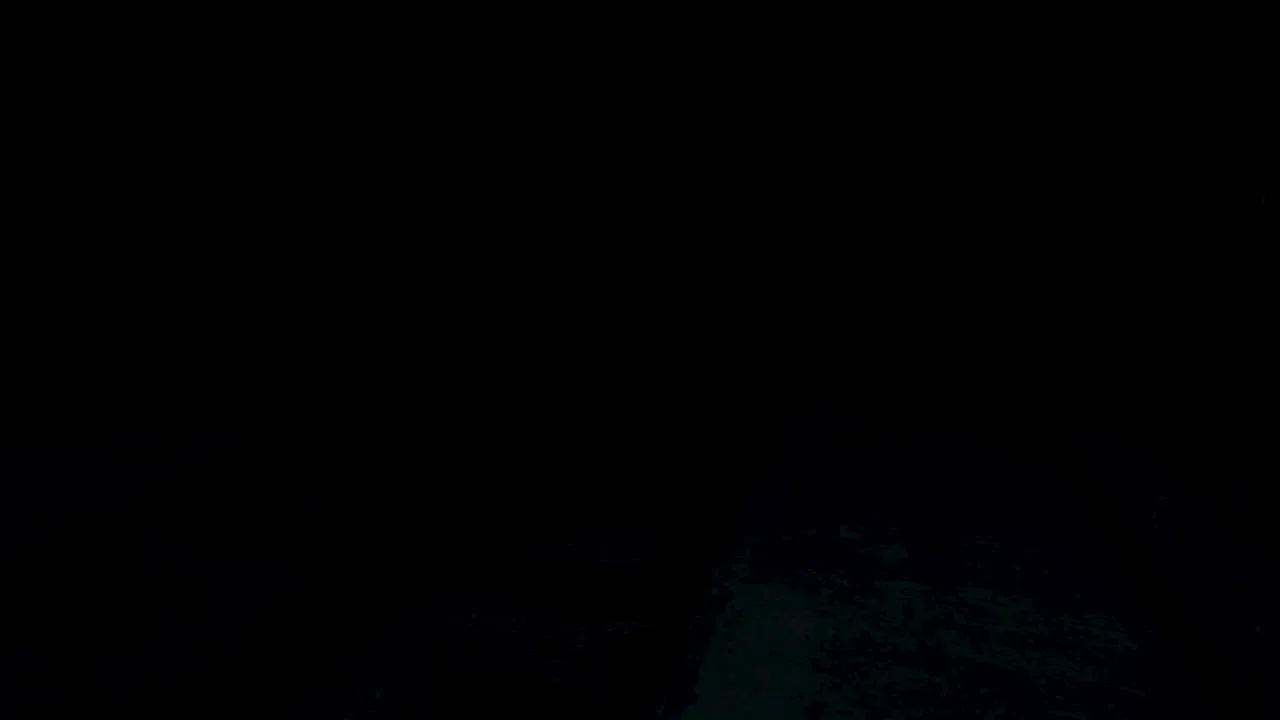 Black Angels Screenshot 1