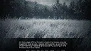 Claws of the Forest Screenshot 2