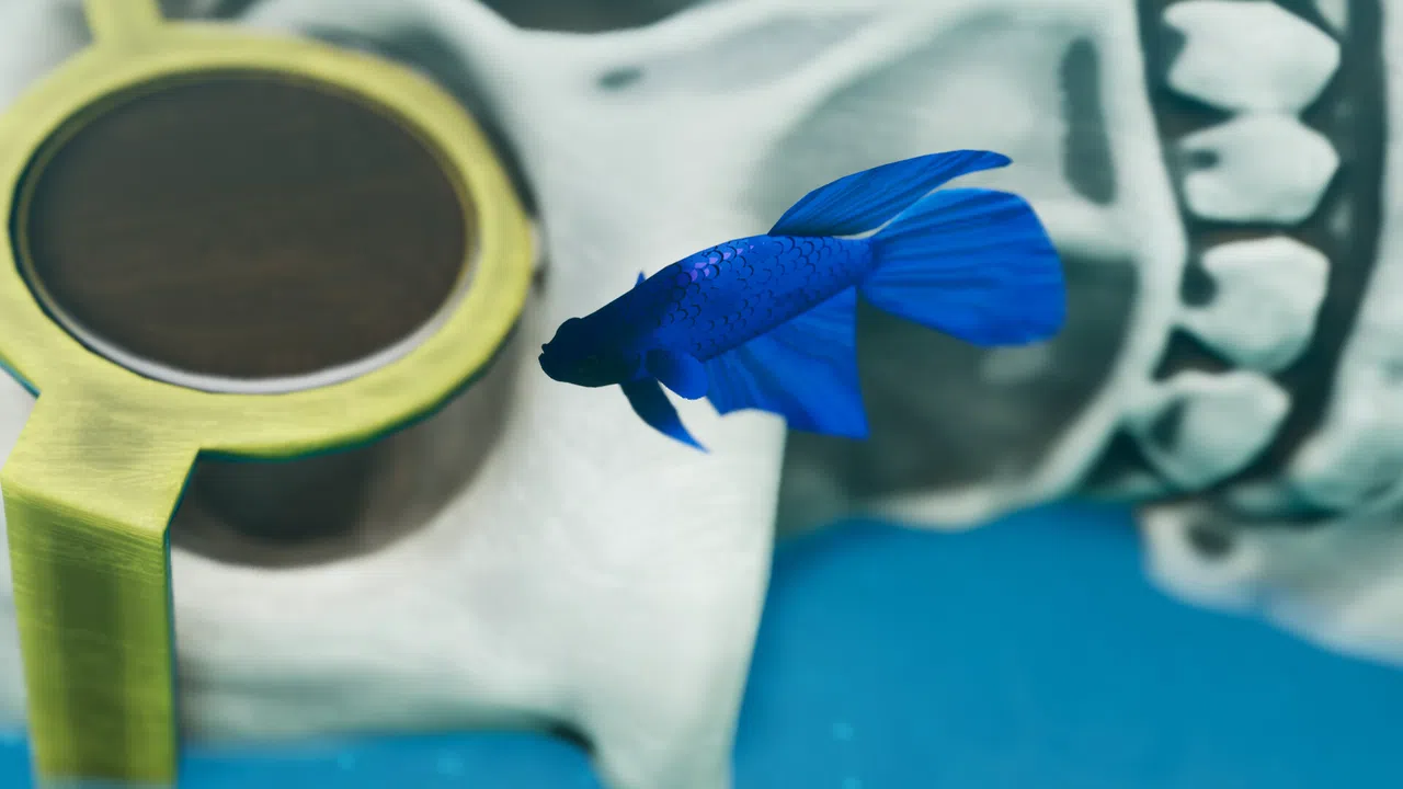 Fish Game - Betta Fish Pack 1 Screenshot 1