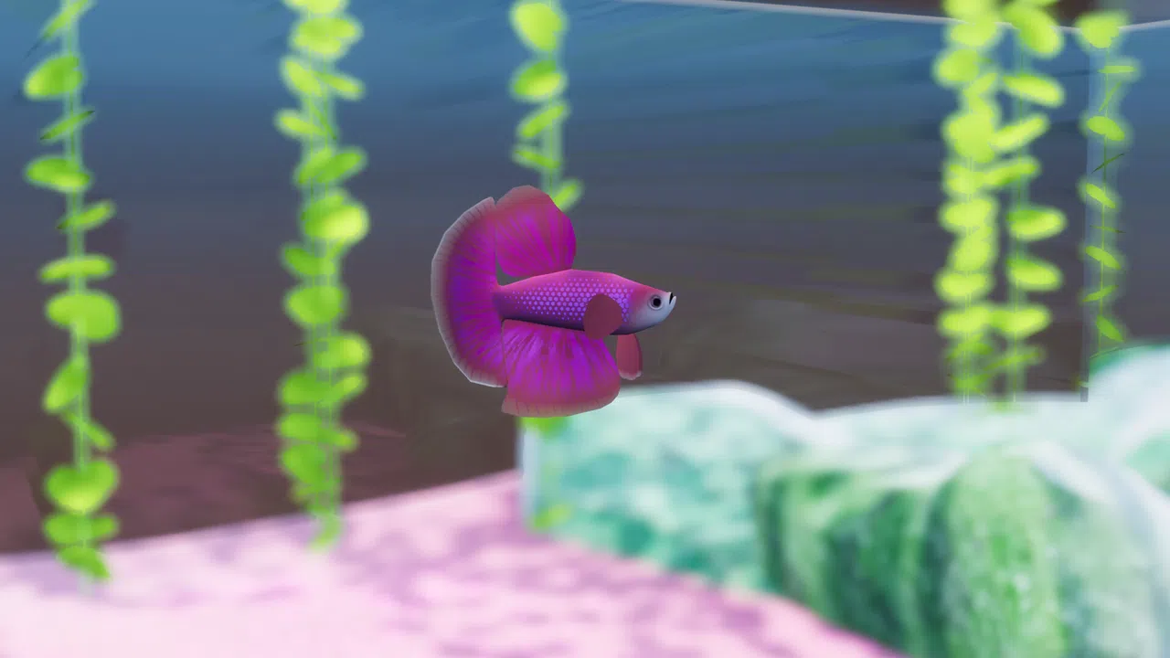 Fish Game - Betta Fish Pack 1 Screenshot 3