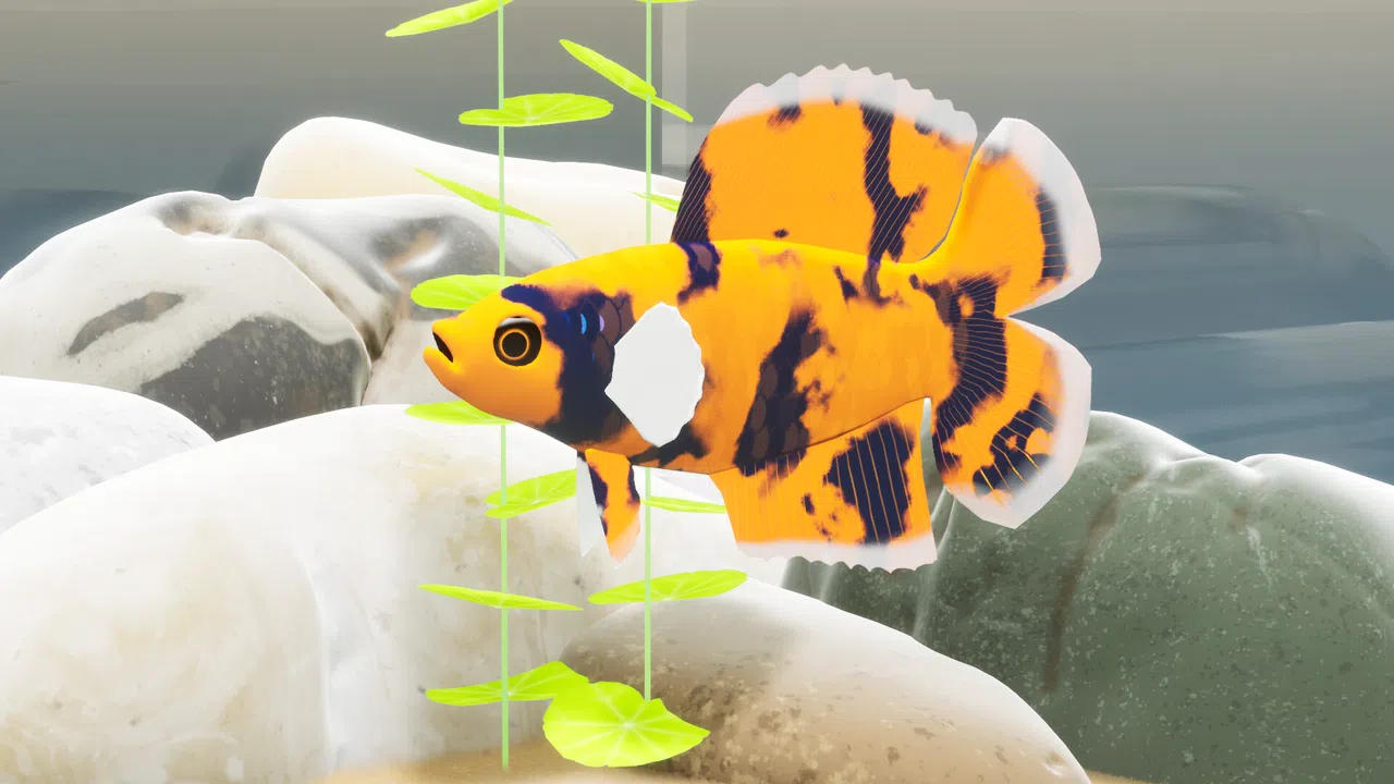 Fish Game - Betta Fish Pack 1 Screenshot 2