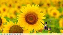 Fishing In Work Screenshot 1