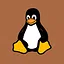 Play the game on Linux icon