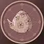 Small Talker icon