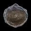 Konjac Conqueror icon
