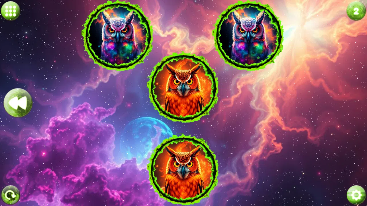 Space Memory: Owls Screenshot 0